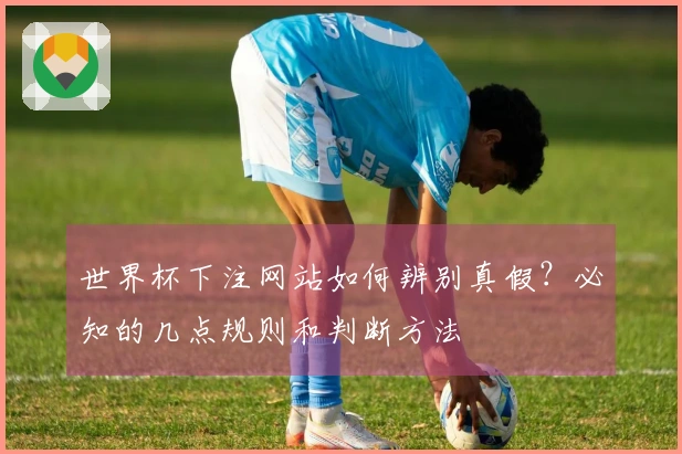 世界杯下注网站如何辨别真假？必知的几点规则和判断方法